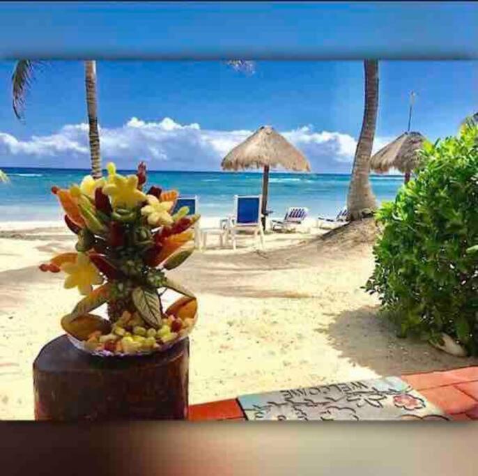 Beachfront Akumal Half Moon Bay Exterior photo